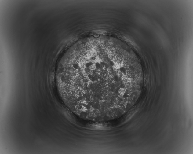 X0000083600365200703021919