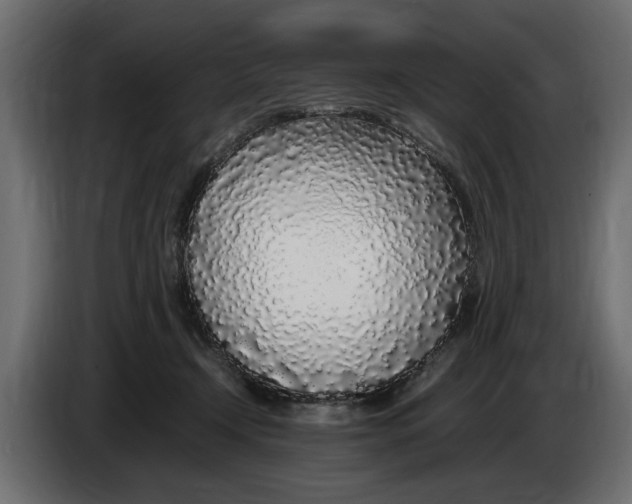 X0000083600366200703021919