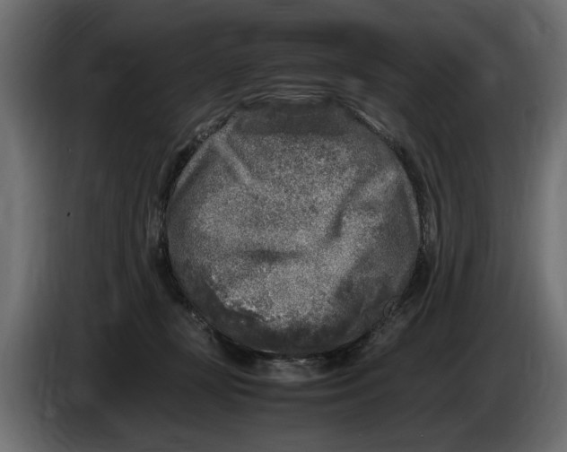 X0000083600367200703021919