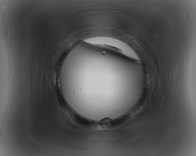 X0000083600368200703021919