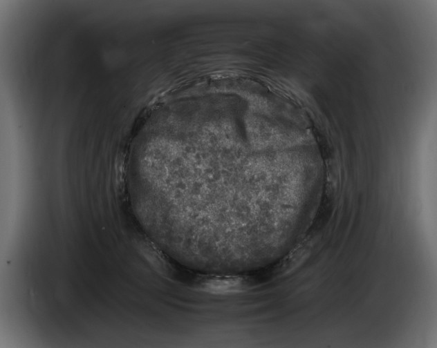 X0000083600369200703021919