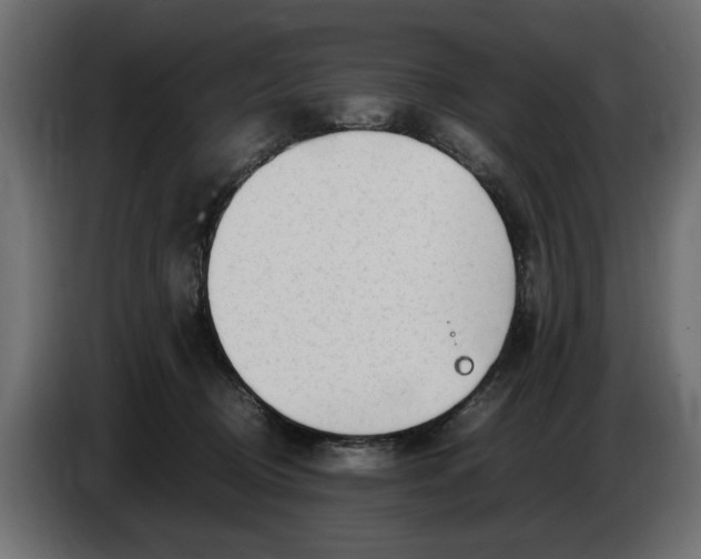 X0000083600370200703021919