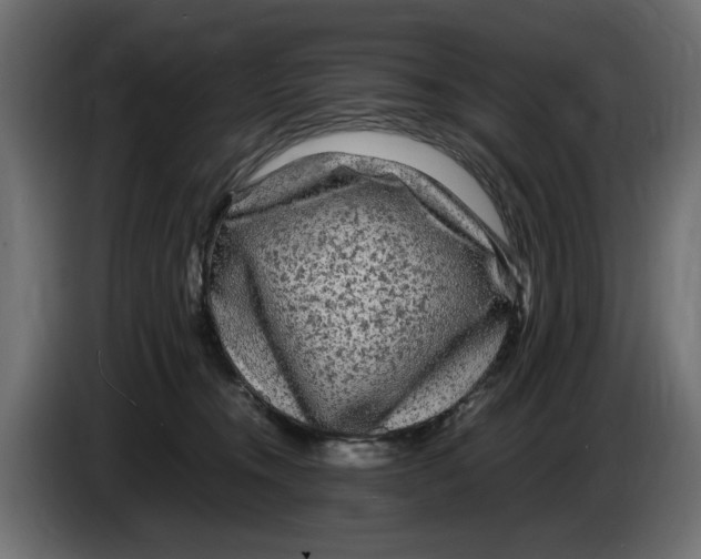 X0000083600372200703021919