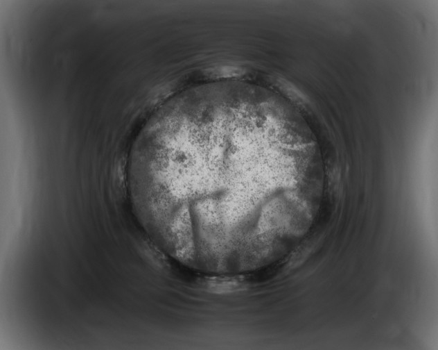 X0000083600373200703021919