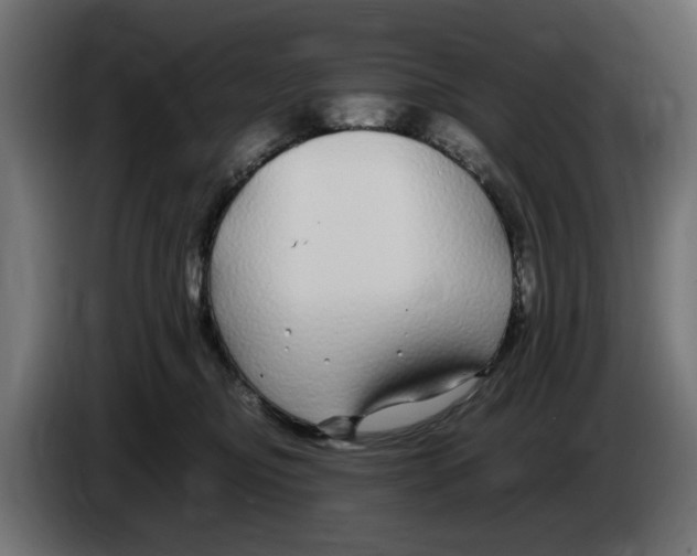 X0000083600374200703021919