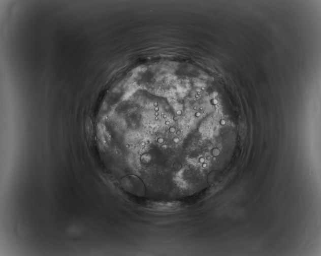 X0000083600375200703021919