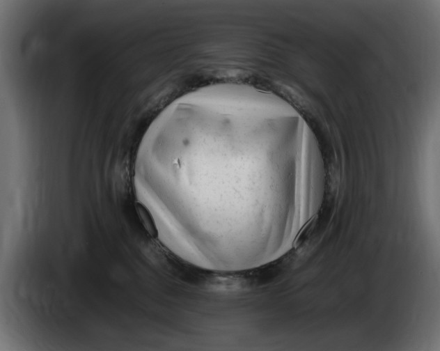 X0000083600376200703021919