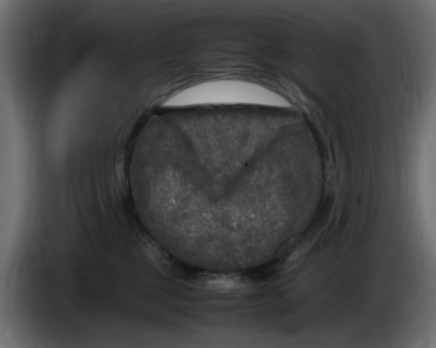 X0000083600377200703021919