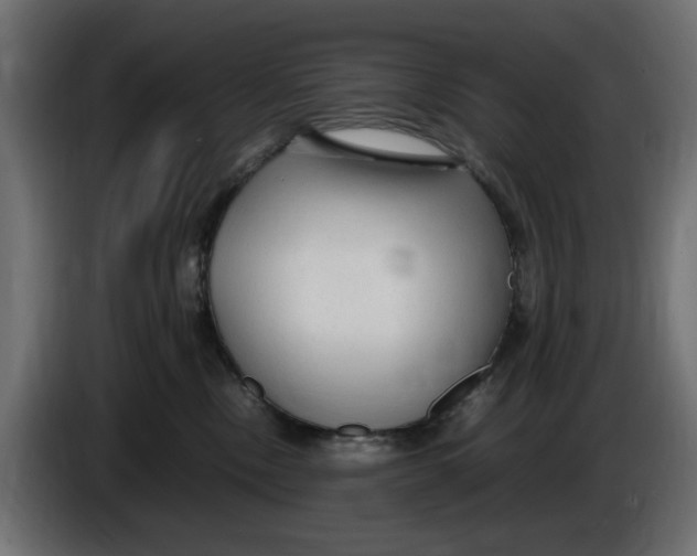 X0000083600378200703021919