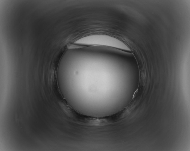 X0000083600379200703021919