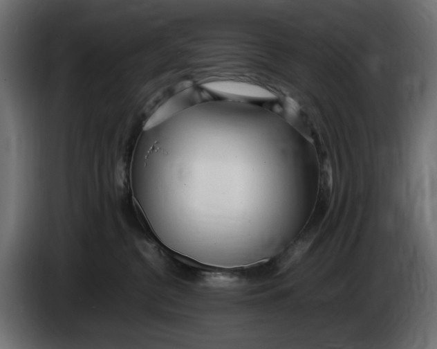 X0000083600380200703021919