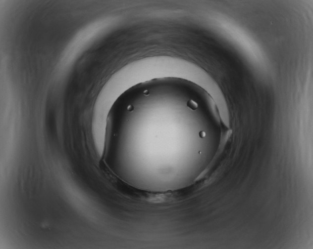 X0000083600382200703021919