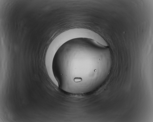 X0000083600384200703021919