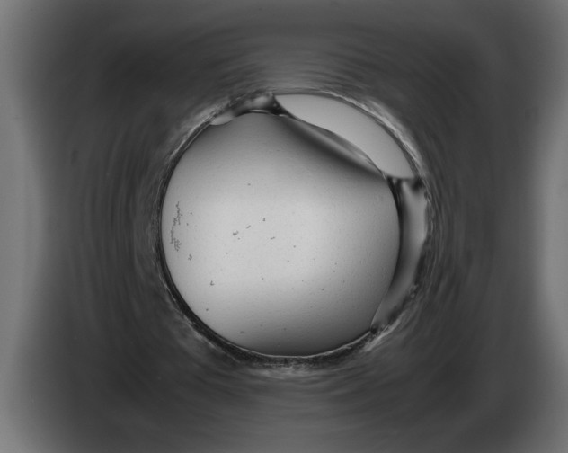 X0000083600385200703021919