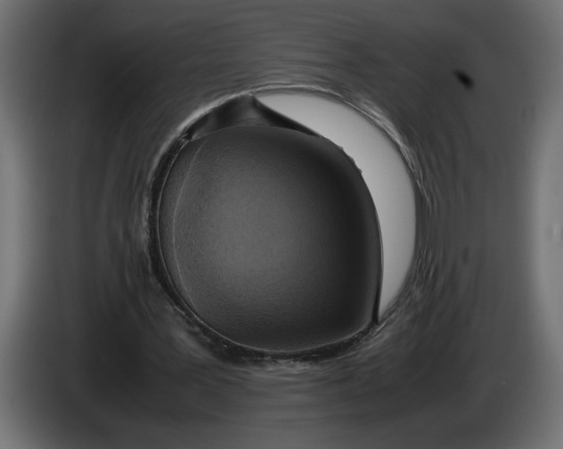 X0000083600387200703021919