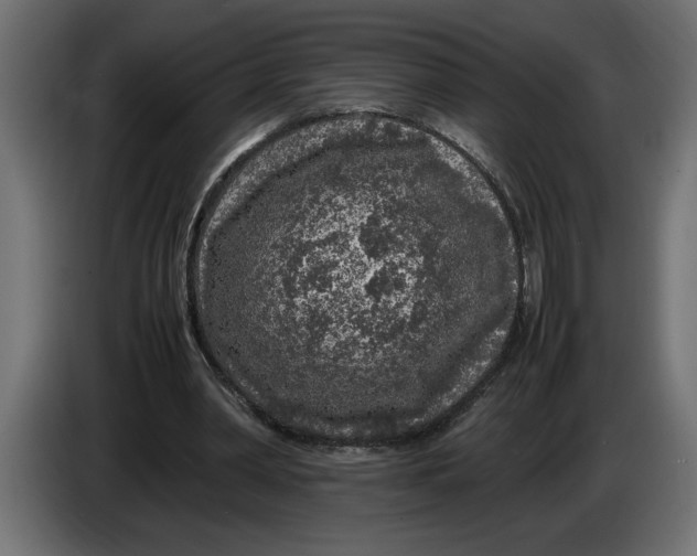 X0000083600390200703021919