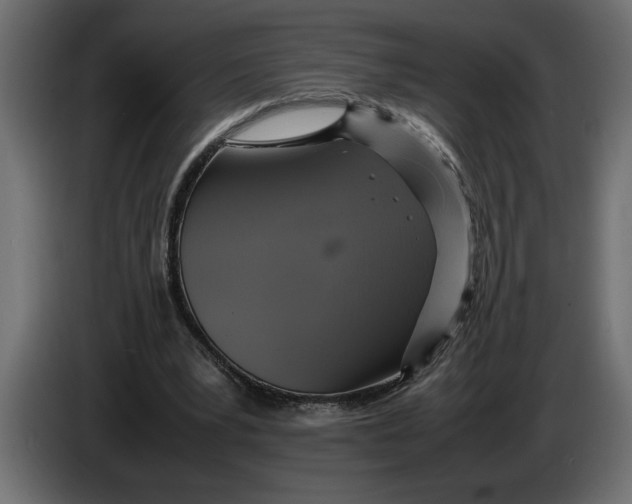 X0000083600391200703021919