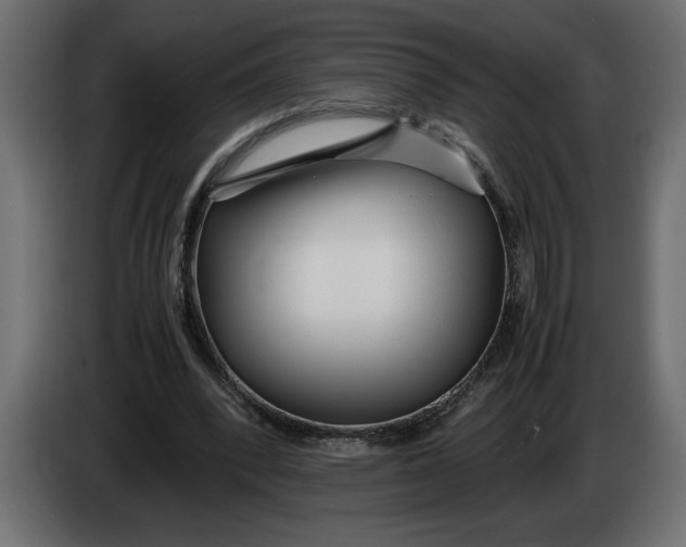 X0000083600392200703021919