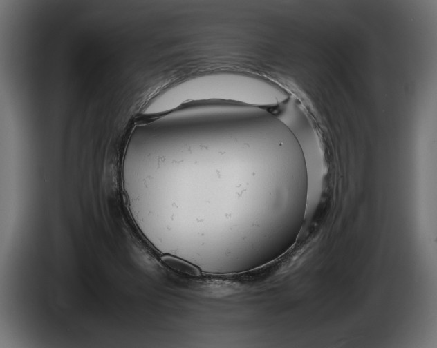 X0000083600393200703021918