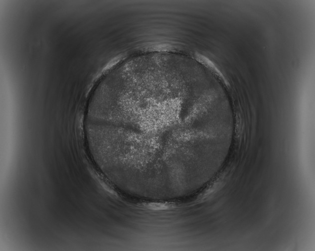 X0000083600394200703021918