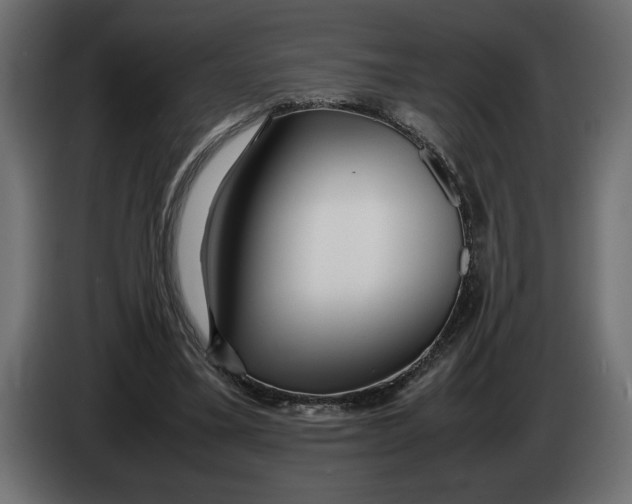 X0000083600395200703021918