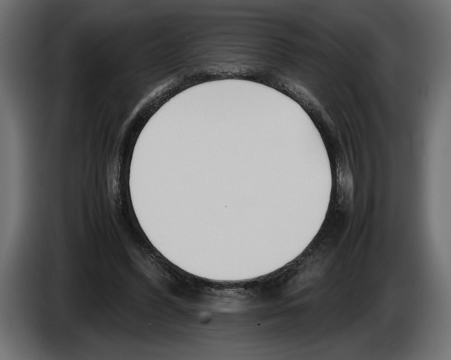 X0000083600396200703021918