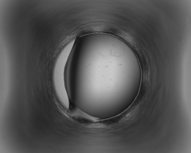 X0000083600397200703021918