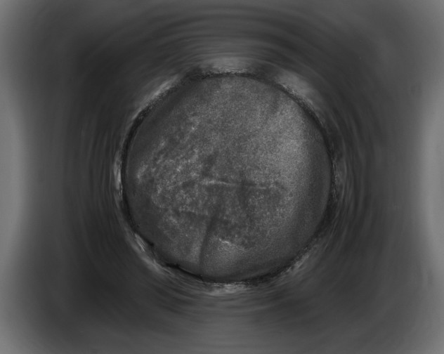 X0000083600398200703021918