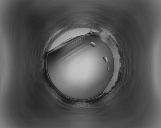 X0000083600399200703021918