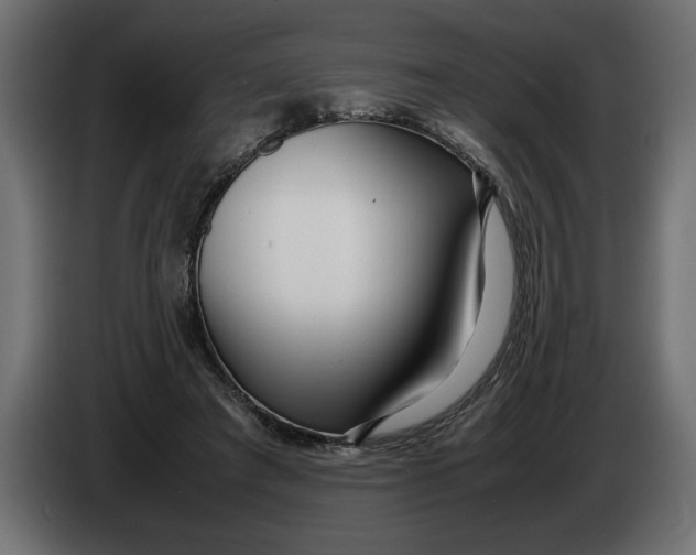 X0000083600401200703021918