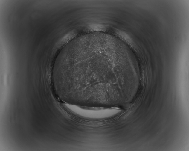 X0000083600402200703021918