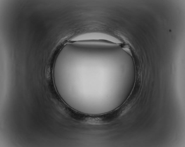 X0000083600403200703021918