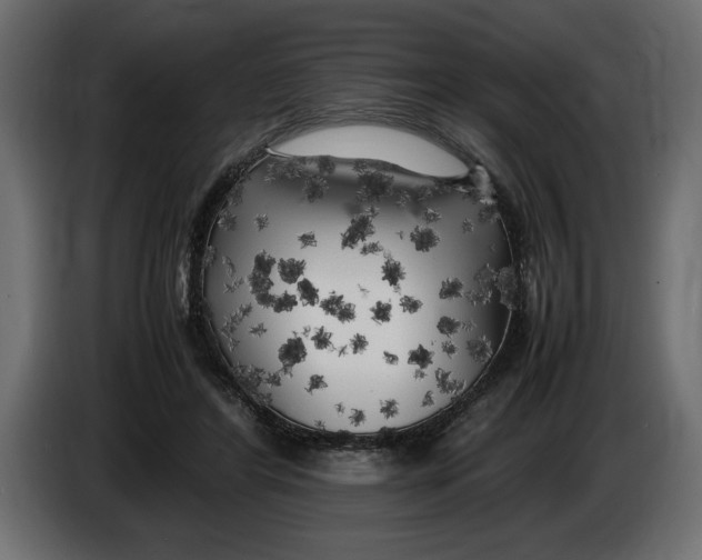 X0000083600404200703021918