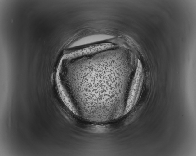 X0000083600405200703021918