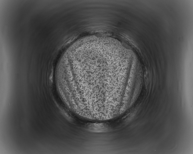 X0000083600406200703021918