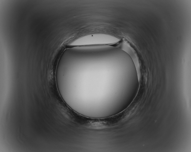 X0000083600407200703021918