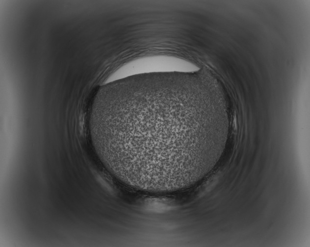 X0000083600408200703021918