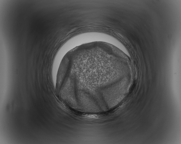 X0000083600409200703021918