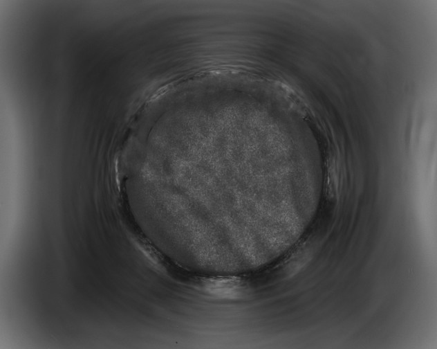 X0000083600410200703021918