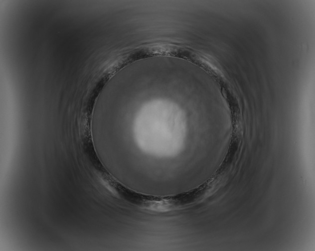 X0000083600411200703021918