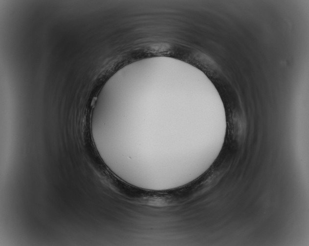 X0000083600412200703021918