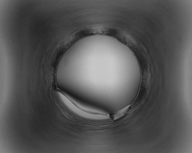 X0000083600413200703021918