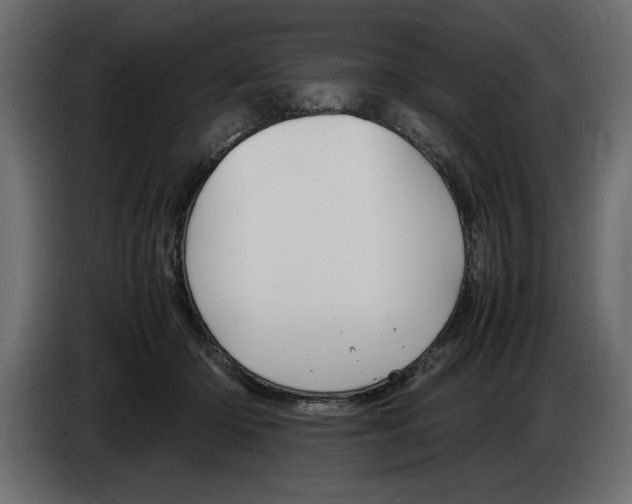 X0000083600414200703021918