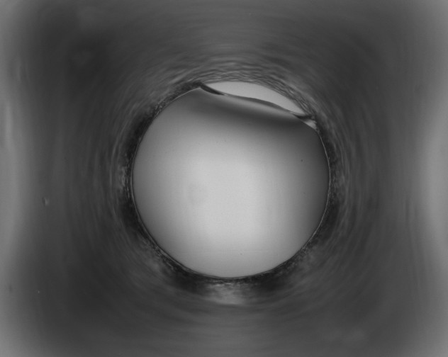 X0000083600417200703021918