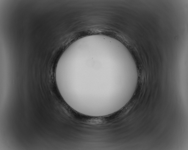 X0000083600418200703021918