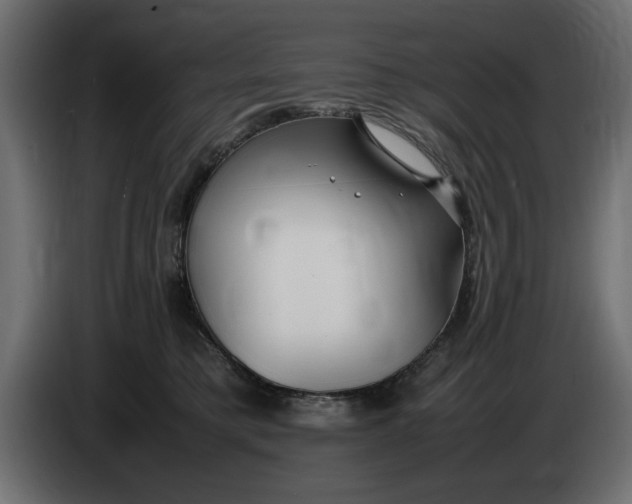 X0000083600421200703021918