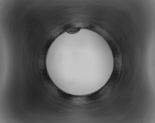 X0000083600422200703021918