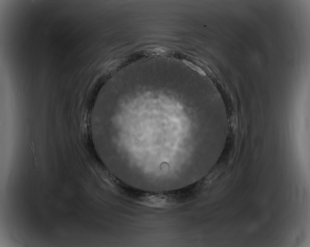 X0000083600423200703021918