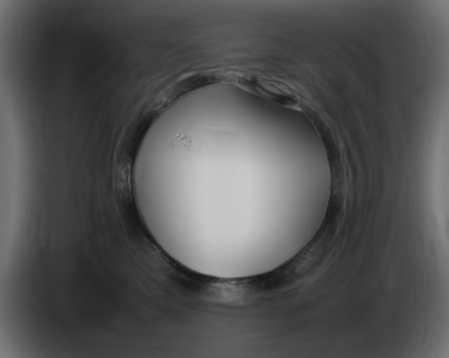 X0000083600425200703021918