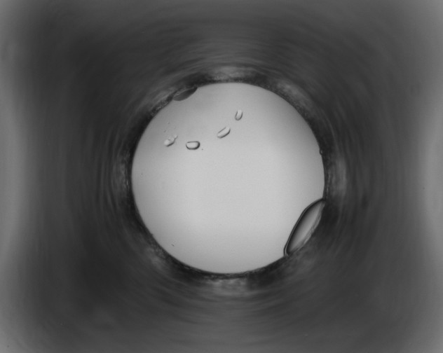 X0000083600426200703021918